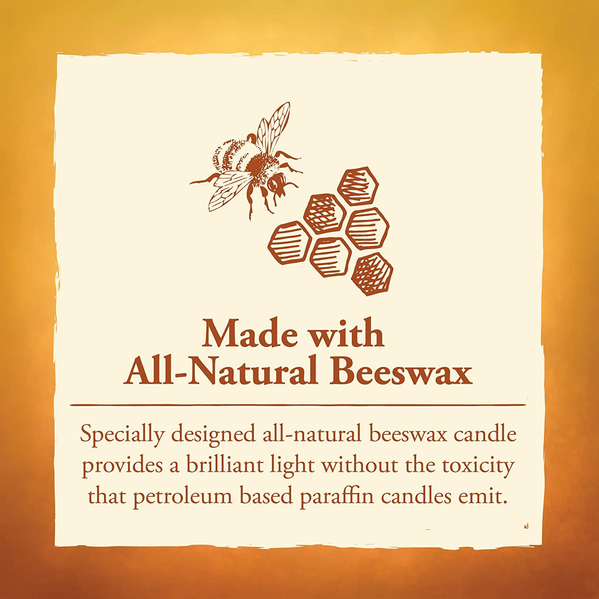 Natural Beeswax Beehive Candles (50-Hour + 70-Hour) | Eco-Friendly with Cotton Wick